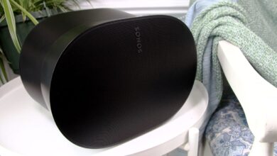 The Sonos Era 300 is almost a perfect smart speaker.  But it has one big drawback