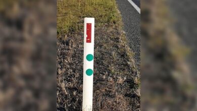 What do the green stickers on the roadside poles mean?