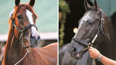 California Chrome, Arrogate to Hall of Fame Together