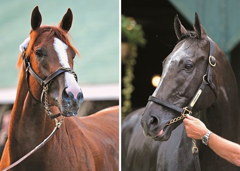 California Chrome, Arrogate to Hall of Fame Together