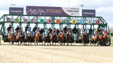 Turfway Park ends with a 62% increase in handling capacity