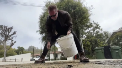 City: Schwarzenegger repaired a utility trench on purpose, not potholes