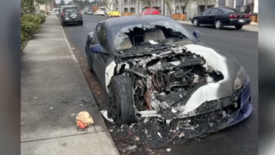 Arson Burns Tesla, Sentry Mode Collects Evidence