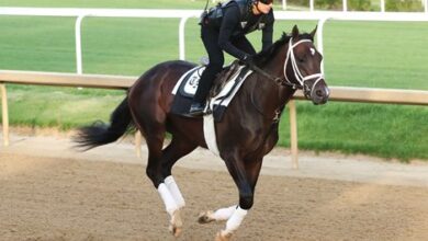 Capsule considers candidates for the 2023 Kentucky Derby