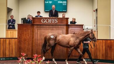 Goffs Breeze-Up Topper dies in a horrible accident