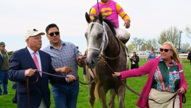Tapit Trice looks set to give Sire's first match winner