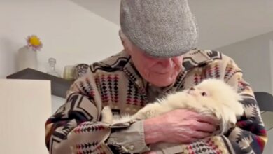 He claims the dog saved him from becoming a cranky old man