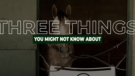 Three things you might not know about: Tapit Trice