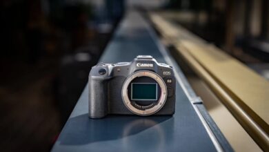 Testing The Limits of the New Canon EOS R8 Mirrorless Camera