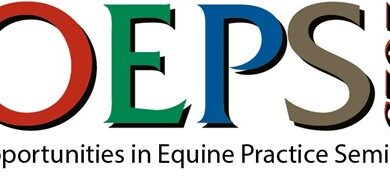Opportunity in a scheduled riding practice workshop