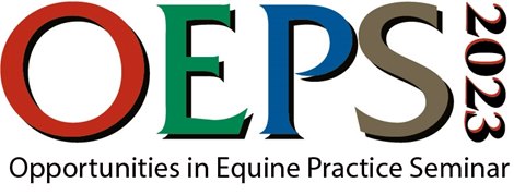 Opportunity in a scheduled riding practice workshop