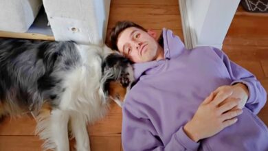 Dog dad admits adopting his Aussie was the biggest mistake of his life