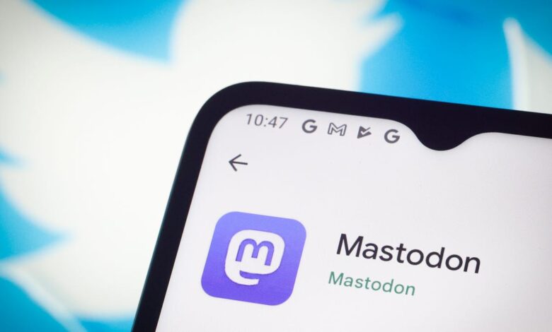 How to find your followers and friends on Mastodon