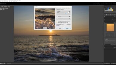 Is Adobe Lightroom Classic's New AI Denoise Up to Scratch? We Review