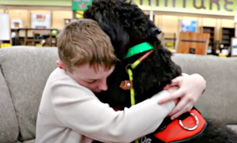 The autism service dog cares for the boy, when he feels no one else cares