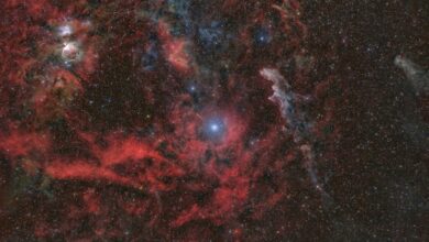 NASA astrophotography for April 7, 2023: The brightest star in the constellation Orion Rigel