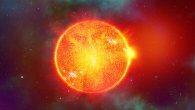 Strange threat!  NASA detects ring-shaped sunspot;  Solar storm fear grows for Earth