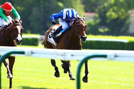 Anmaat fights for group 1 glory in Prix d'Ispahan