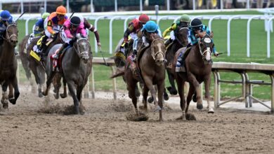 Wizard wins Kentucky Derby, seven horse deaths under investigation at Churchill Downs