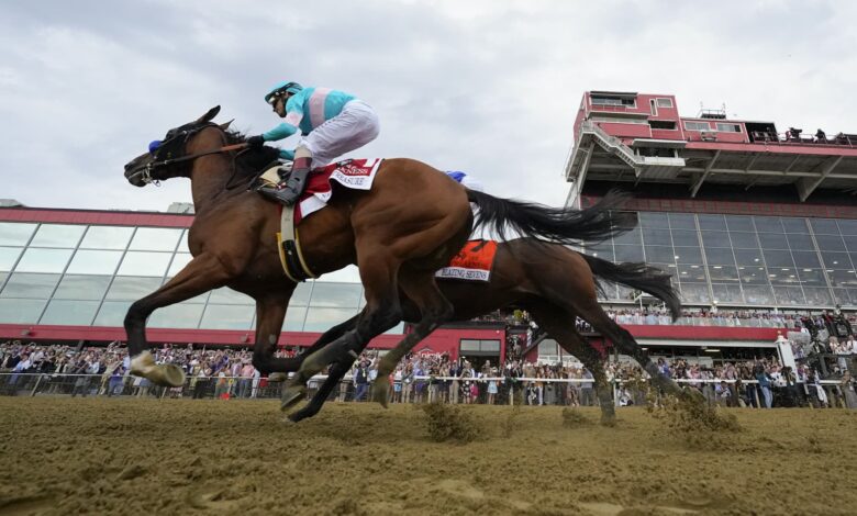 Bob Baffert's National Treasure Wins Preakness, Hours After Another of His Horses Was Killed