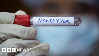 Monkey pox epidemic: WHO declares a global emergency