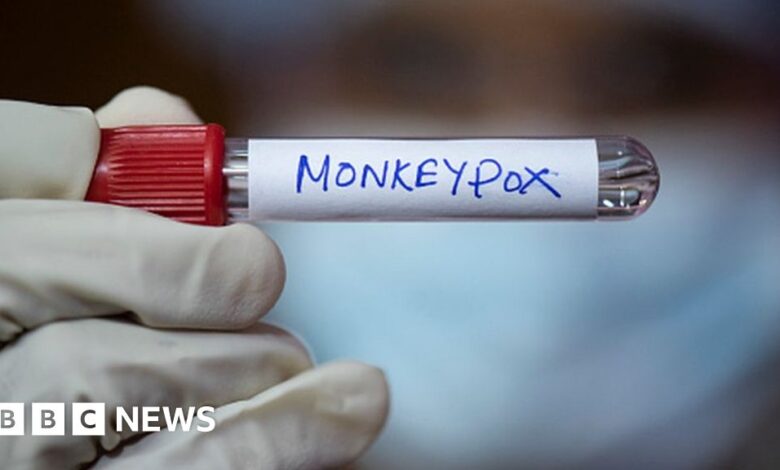 Monkey pox epidemic: WHO declares a global emergency