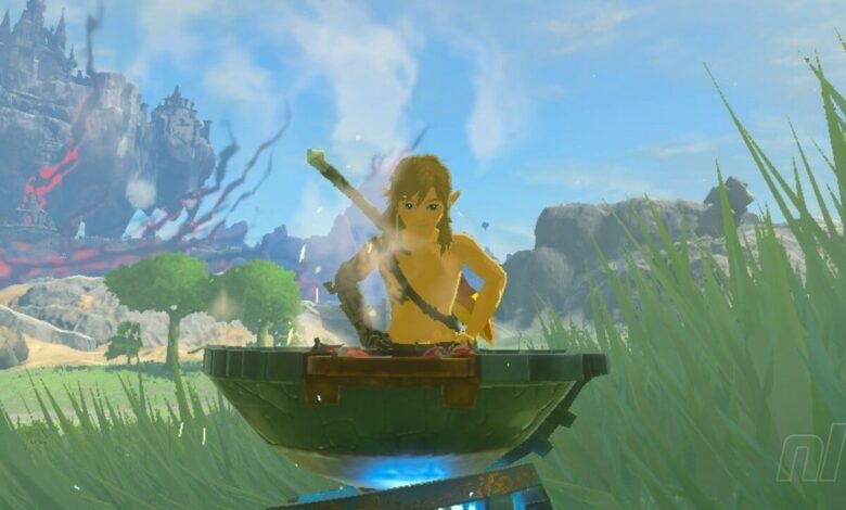 Zelda: Tears Of The Kingdom has a link to humming classic tunes as he cooks