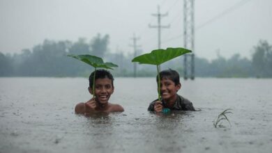 Extreme weather causes two million deaths, costs $4 trillion over the past 50 years