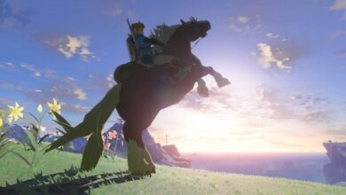 Zelda: Tears Of The Kingdom: Guide - Collectibles, Tips and Tricks