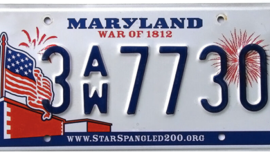 Maryland license plate URL leads to a gambling site
