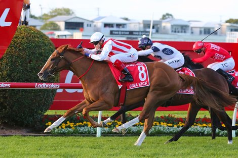 Giga Kick protects the second group in Doomben 10,000