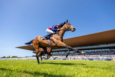 Bests Luxembourg Bay Bridge at Tattersalls vàng Gold Cup