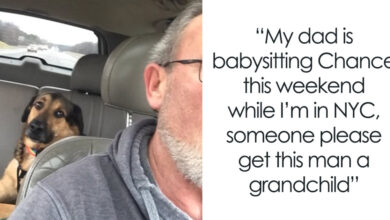 Woman leaves dog with dad, gets 'best text' from him of the day