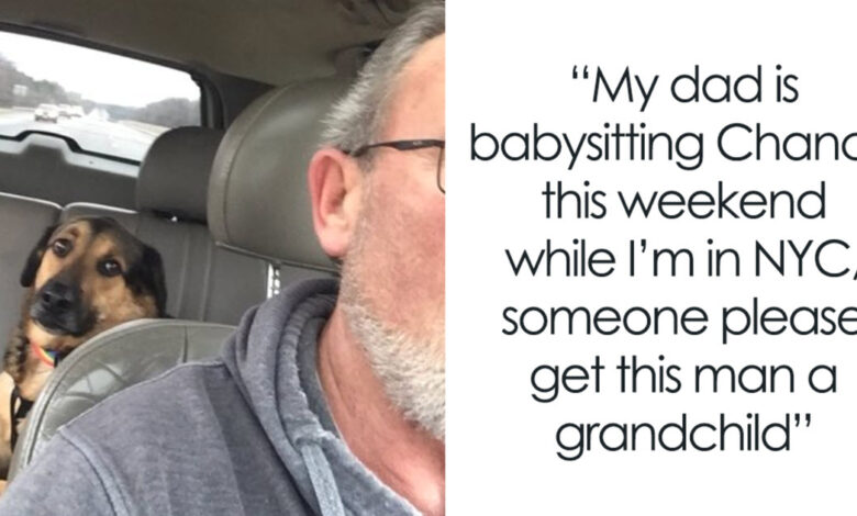 Woman leaves dog with dad, gets 'best text' from him of the day