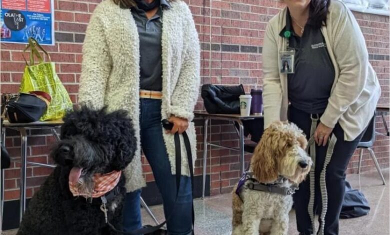 Therapy dogs help communities heal after-school tragedy - Dogster
