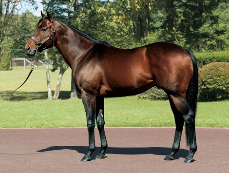 Lord Kanaloa Colt leads sales of 2-year-old children in Chiba
