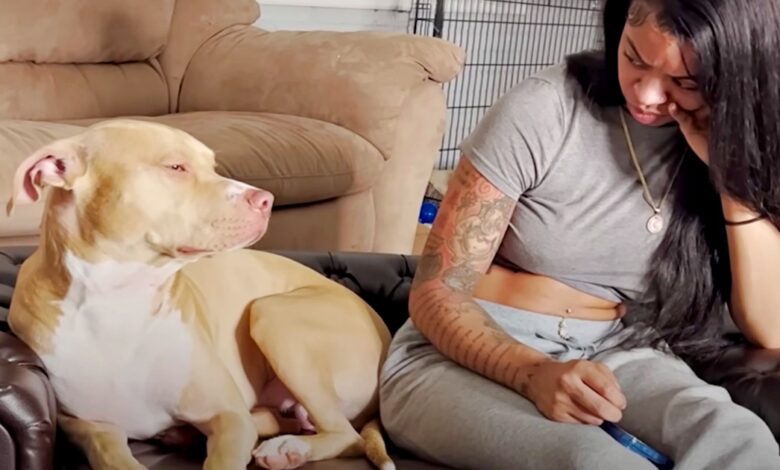 She organized an intervention for her daughter's wild pit bull