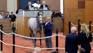 Speedway Stables Nabs Day 1 Sale Topper for $800,000