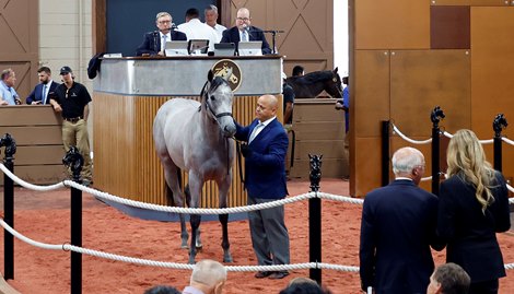 Speedway Stables Nabs Day 1 Sale Topper for $800,000