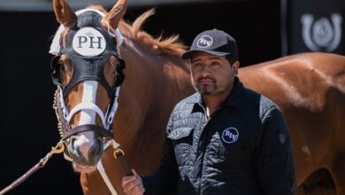 Two Phil's Bypasses Belmont, heading to Ohio Derby