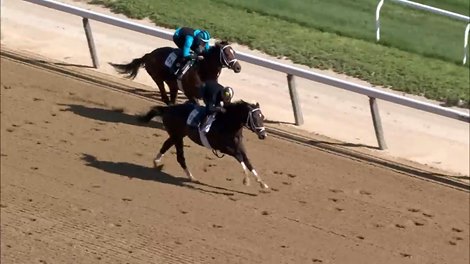 Forte in action on May 27 in Belmont Park - Video -