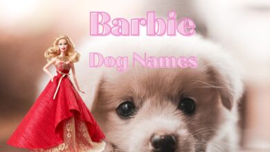 Barbie dog name for your new little doll!