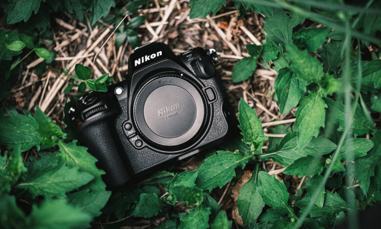 A Beast for Serious Photographers: We Review the Nikon Z 8
