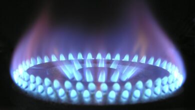 New York Gas Stove Ban – Beginning of the End or End of the Beginning? – Watts Up With That?