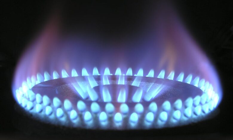 New York Gas Stove Ban – Beginning of the End or End of the Beginning? – Watts Up With That?