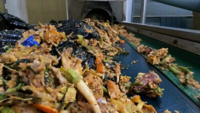 How Korean food waste is turned into animal feed, fuel or fertilizer
