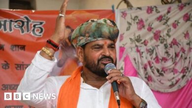 Brij Bhushan Sharan Singh: India's Wrestling Head Accused of Sexual Harassment