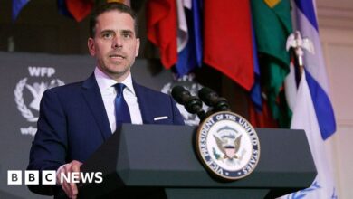 Hunter Biden pleads guilty to tax and admits to gun offense