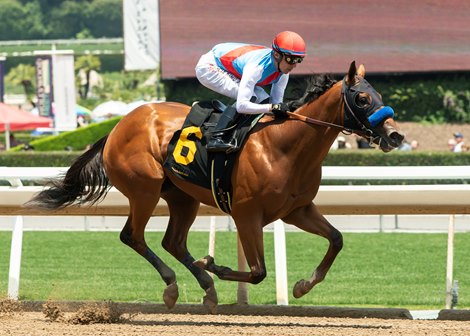 OBS March Sale Topper Shines On Launch In Santa Anita