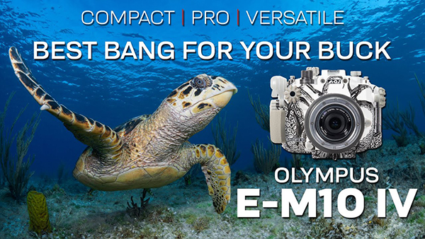 Backscatter publishes review of Olympus OM-D E-M10 IV